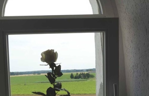 Ohrdorf Casa | Windmühle mit Kleiner Ferienwohnung - Mühlenurlaub Südheide