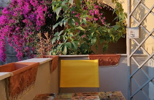Pollena Trocchia Apartamento | WINE HOUSE ON VESUVIUS