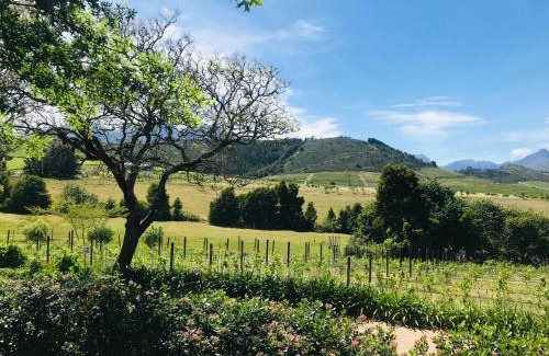 Stellenbosch Apartamento | Winelands guest room