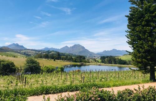 Stellenbosch Apartamento | Winelands guest room