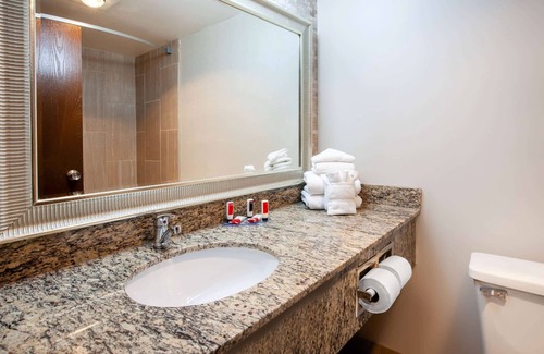 Romulus Hotel | Wingate by Wyndham Detroit Metro Airport
