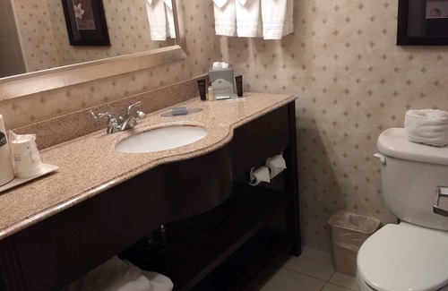 New Braunfels Hotel | Wingate by Wyndham New Braunfels