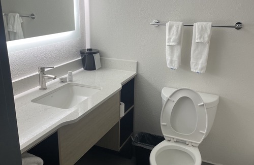 Savannah Hotel | Wingate by Wyndham Savannah Gateway