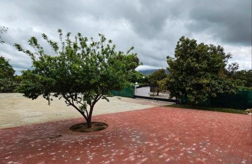 George Casa | Wingrock Guesthouse