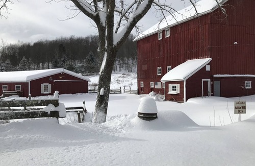 Bovina Center Casa | Winniebrook Farm - A beautiful 16 acre countryside farmstead