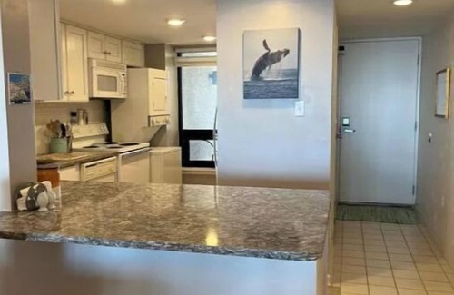 North End Condominio | Winter rental, 2 to 5 months,beutiful 7th floor condo unit in premier location