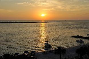 Clearwater Beach Hotel | Winter the Dolphin's Beach Club, an Ascend Collection Hotel