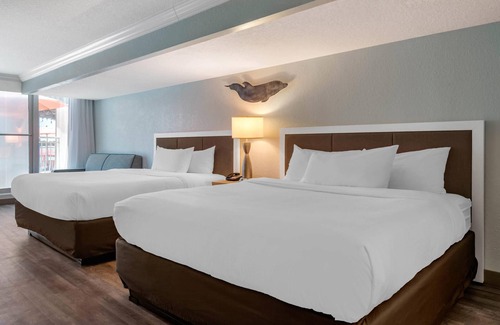 Clearwater Beach Hotel | Dolphin Sands Clearwater Beach, Ascend Hotel Collection