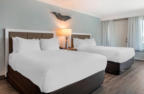 Clearwater Beach Hotel | Dolphin Sands Clearwater Beach, Ascend Hotel Collection