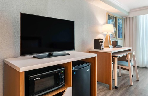 Clearwater Beach Hotel | Dolphin Sands Clearwater Beach, Ascend Hotel Collection
