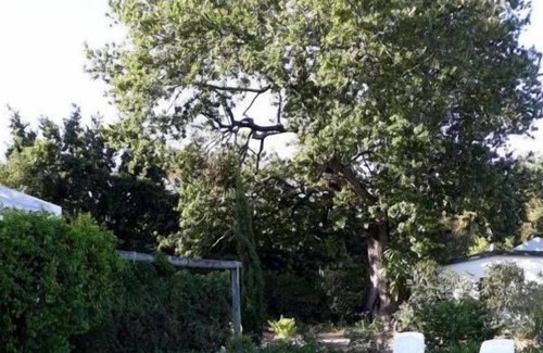 Swellendam Casa | Winterson en Somerkoelte