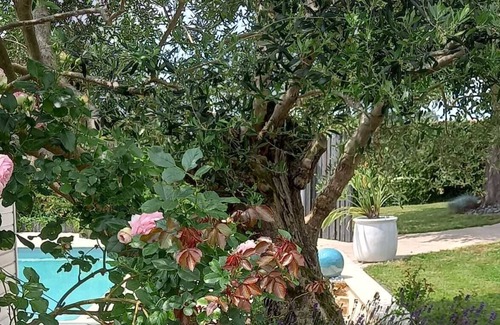 Grez-Neuville Apartamento | Within walking distance: Rivers, Chateaux, Parks, Vélo Francette, accommodation with swimming pool