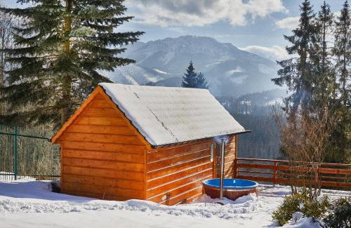 Witow Apartamento | Witkówka WILD Luxury Apartments - Sauna & SPA x Adults Only