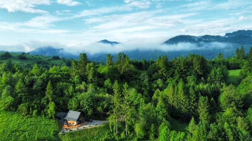 Kroscienko nad Dunajcem Chalet De Esquí | wLesie Domek w Górach Pieniny