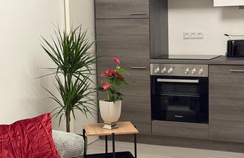 Gaishorn Apartamento | WM GEDER Ferienwohnungen Villa Tanja