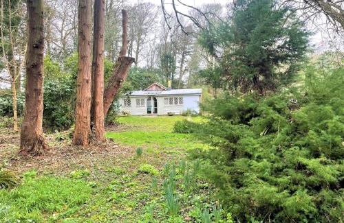 Falmouth Casa | Wodehouse