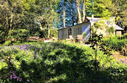 Falmouth Casa | Wodehouse