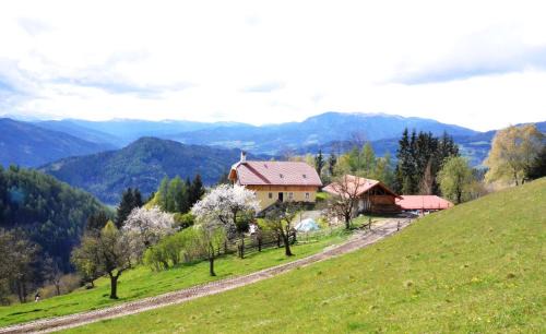 Friesach Apartamento | Wohlfühloase Koglerhof