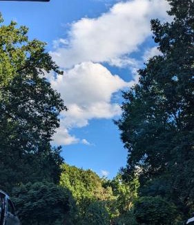 Bad Saarow Apartamento | Wohlfühloase unter den Linden