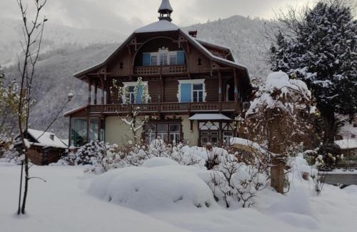 Ebensee Apartamento | Wohnen am See Villa Schrötter direkt am Traunsee