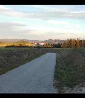 Pregarten Apartamento | Wohnen im Grünen