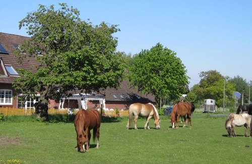Holtgast Apartamento | Wohnung 5 auf dem Ferienhof Eilts -viele Ponys und Sonstige Tiere in Nordseenähe