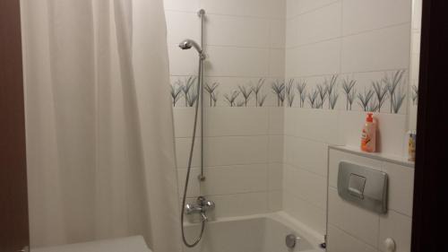 Fuerth Apartamento | Wohnung am Grünen, Nähe Stadtzentrum und Hauptbahnhof, WLAN inklusive
