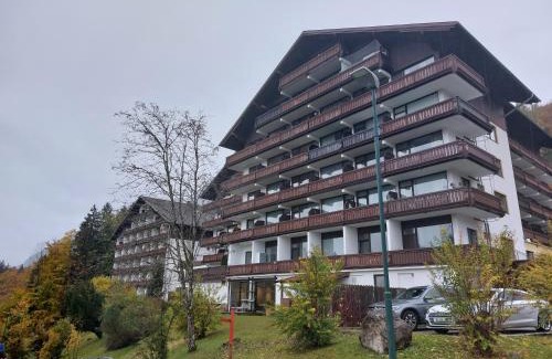 Bad Goisern Apartamento | Wohnung in Bad Goisern