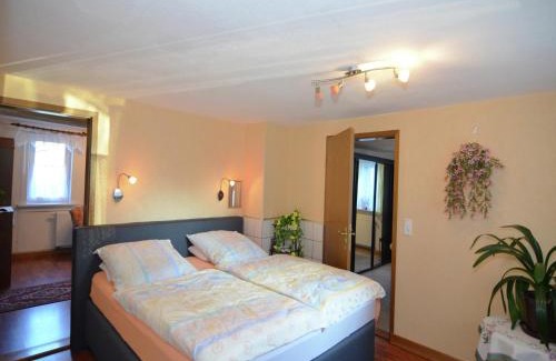 Neustadt am Rennsteig Apartamento | Wohnung in Neustadt nahe Skilift & Loipen