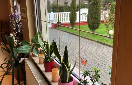 Erkner Apartamento | Wohnung in Wald- und Seenähe