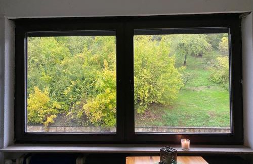 Niedaltdorf Apartamento | Wohnung mit Blick auf die Nied