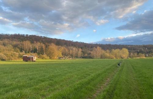 Niedaltdorf Apartamento | Wohnung mit Blick auf die Nied