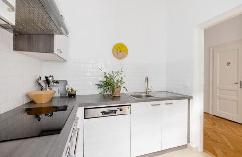 Rudolfsheim-Funfhaus Apartamento | Wohnung Nahe Schönbrunn
