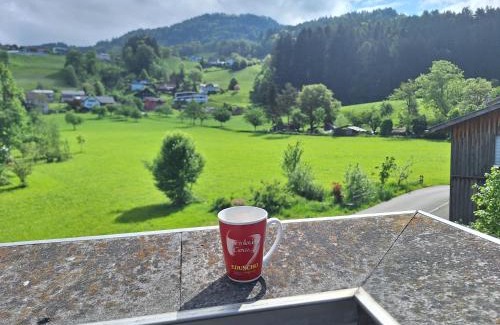Zwischenwasser Apartamento | Wohnung Rheintal im Alpenvorland
