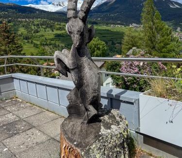 Savognin Apartamento | Wohnung Steinbock Savognin