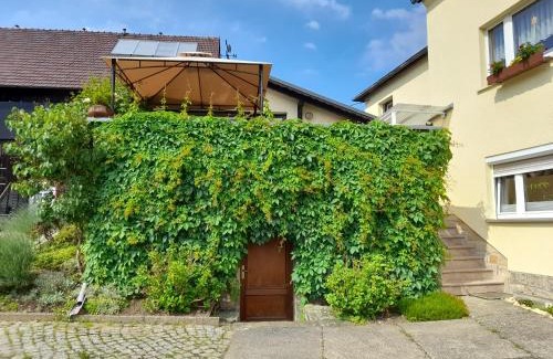 Reinhardtsdorf-Schoena Apartamento | Wolfsbergblick