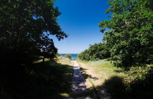 Dranske Otro | WoMo Stellplatz am Ferienpark Bernstein