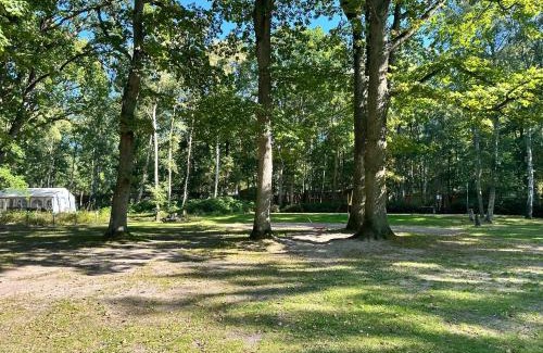Dranske Otro | WoMo Stellplatz am Ferienpark Bernstein