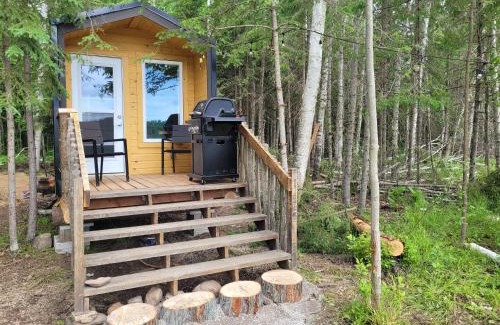 Golden Lake Otro | Wood Duck Cabin, Hike in or 4x4 vehicle, 120m
