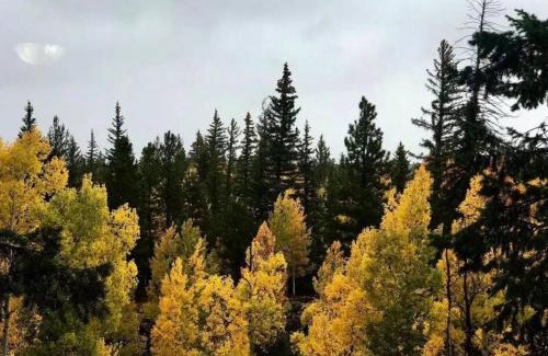 Duck Creek Village Casa | Woodchuck Cabin
