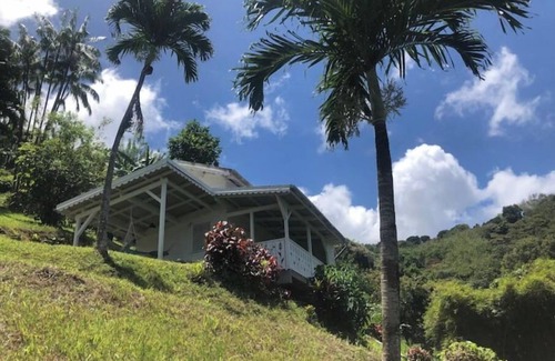 Fonds Saint Denis Casa | Wooden villa in the heart of nature