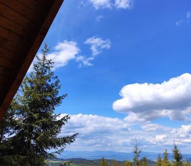 Sincraieni Casa | Woodland house *