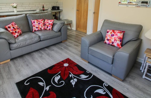 Mold Cabaña | WOODLAND VIEW, romantic in Llanarmon-Yn-Ial