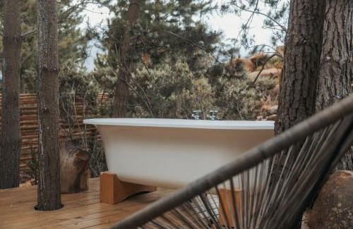 Tulbagh Apartamento | Woodpecker Cabin at Vrolikheid Landgoed