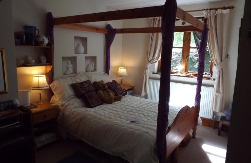 Callington Cama Y Desayuno | Woodpeckers
