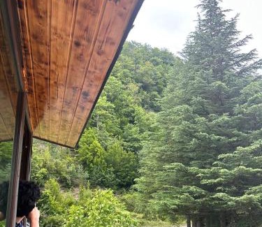 Ambrolauri Casa | WoodStar/ტყის ვარსკვლავი