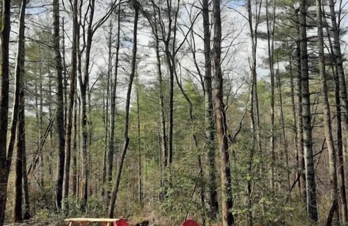 Morganton Cabaña | Woodsy cottage next to Lake James