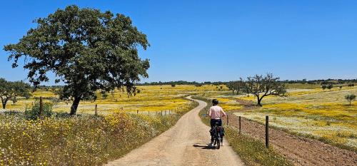 Aldeia dos Palheiros Otro | Woody caravan op de camping