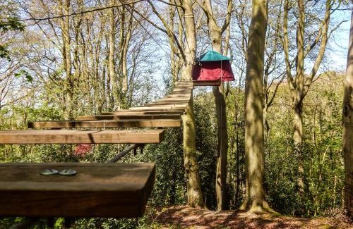 Fecamp Otro | Woody Park