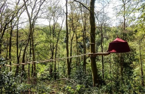 Fecamp Otro | Woody Park